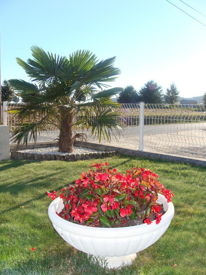 Chambres D'Hotes Le Petit Angle Saint-Broladre Εξωτερικό φωτογραφία